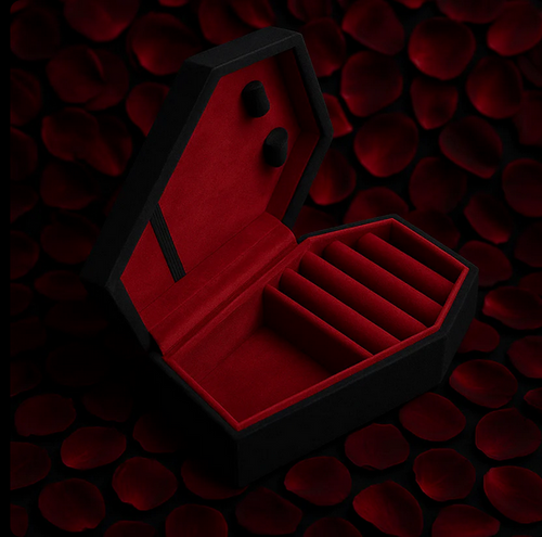 Coffin Jewelry Box