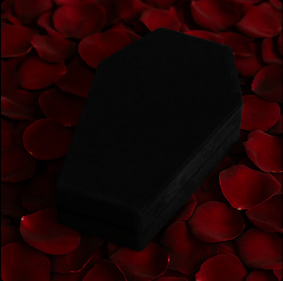 Coffin Jewelry Box